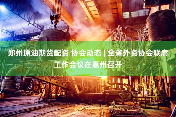 郑州原油期货配资 协会动态 | 全省外资协会联席工作会议在惠州召开