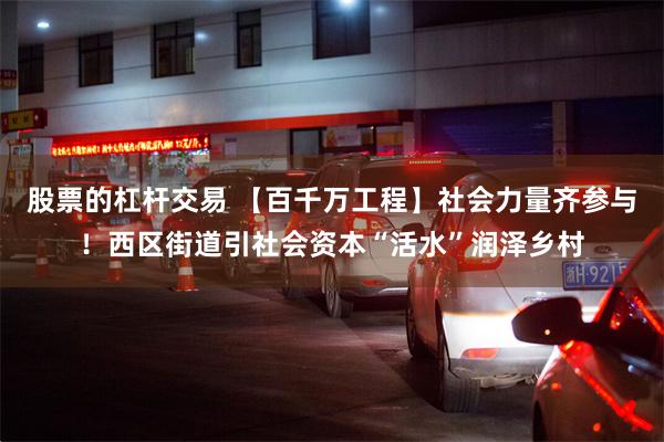 股票的杠杆交易 【百千万工程】社会力量齐参与！西区街道引社会资本“活水”润泽乡村