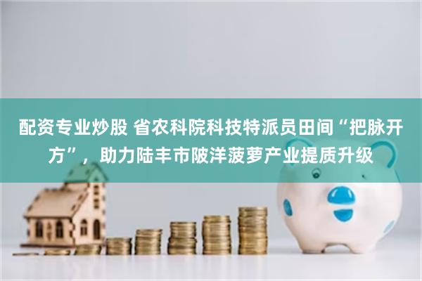 配资专业炒股 省农科院科技特派员田间“把脉开方”，助力陆丰市陂洋菠萝产业提质升级
