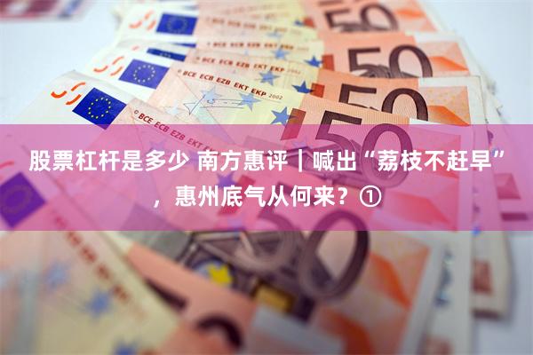 股票杠杆是多少 南方惠评｜喊出“荔枝不赶早”，惠州底气从何来？①
