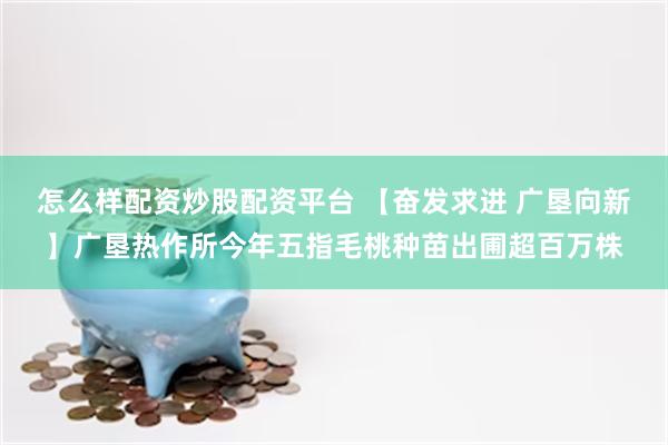 怎么样配资炒股配资平台 【奋发求进 广垦向新】广垦热作所今年五指毛桃种苗出圃超百万株