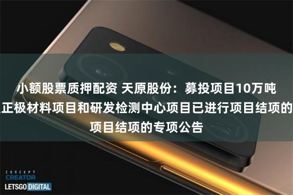 小额股票质押配资 天原股份：募投项目10万吨磷酸铁锂正极材料项目和研发检测中心项目已进行项目结项的专项公告