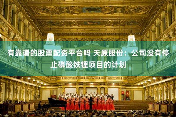 有靠谱的股票配资平台吗 天原股份：公司没有停止磷酸铁锂项目的计划