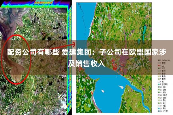 配资公司有哪些 爱建集团：子公司在欧盟国家涉及销售收入