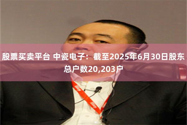 股票买卖平台 中瓷电子：截至2025年6月30日股东总户数20,203户
