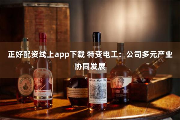 正好配资线上app下载 特变电工：公司多元产业协同发展