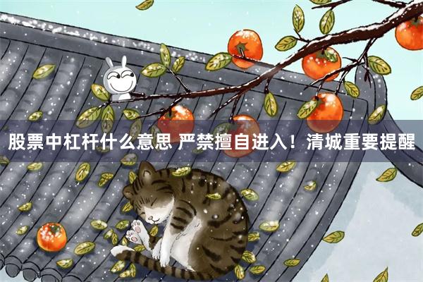 股票中杠杆什么意思 严禁擅自进入!清城重要提醒