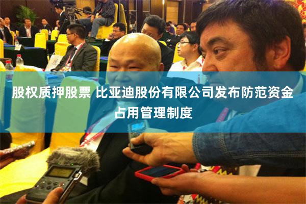 股权质押股票 比亚迪股份有限公司发布防范资金占用管理制度