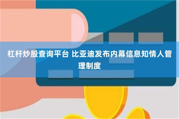 杠杆炒股查询平台 比亚迪发布内幕信息知情人管理制度