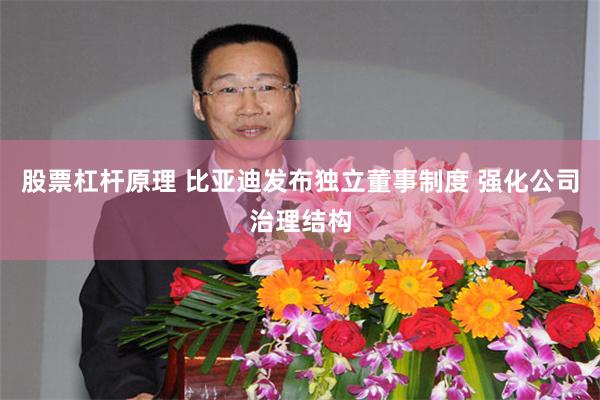 股票杠杆原理 比亚迪发布独立董事制度 强化公司治理结构