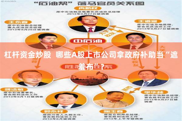 杠杆资金炒股  哪些A股上市公司拿政府补助当“遮羞布”？