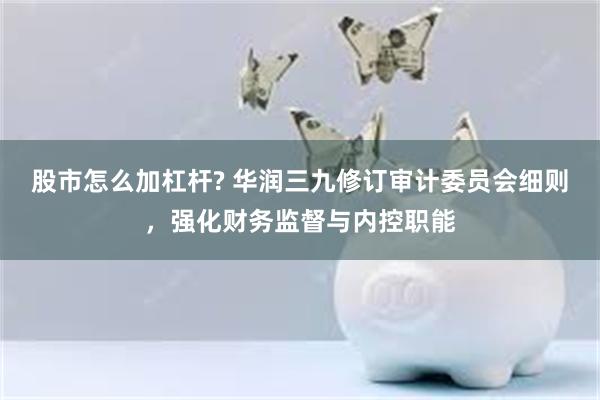 股市怎么加杠杆? 华润三九修订审计委员会细则，强化财务监督与内控职能