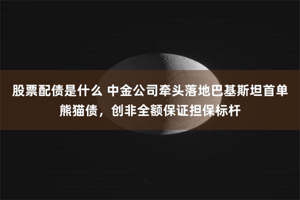 股票配债是什么 中金公司牵头落地巴基斯坦首单熊猫债,创非全额保证担保标杆