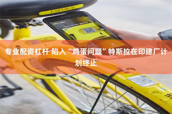 专业配资杠杆 陷入“鸡蛋问题”特斯拉在印建厂计划终止