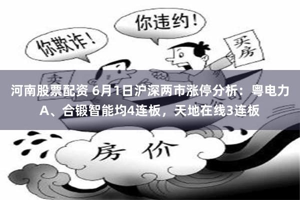 河南股票配资 6月1日沪深两市涨停分析：粤电力A、合锻智能均4连板，天地在线3连板