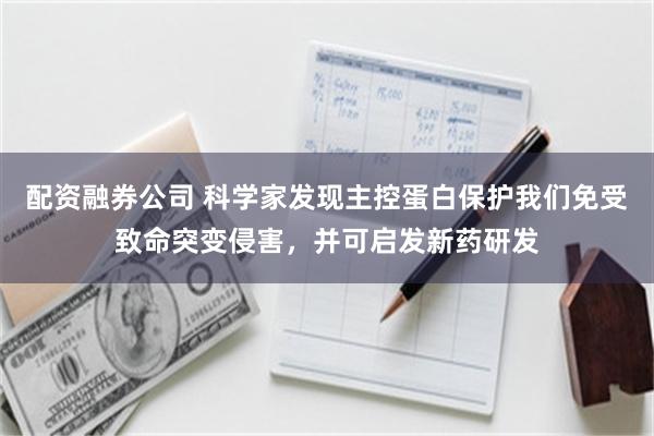 配资融券公司 科学家发现主控蛋白保护我们免受致命突变侵害，并可启发新药研发