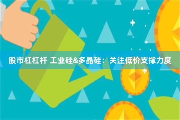 股市杠杠杆 工业硅&多晶硅：关注低价支撑力度