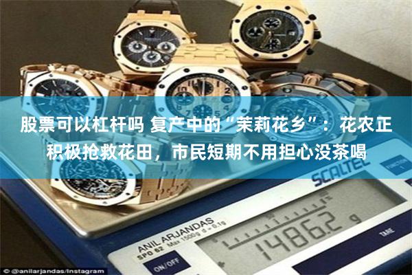 股票可以杠杆吗 复产中的“茉莉花乡”：花农正积极抢救花田，市民短期不用担心没茶喝