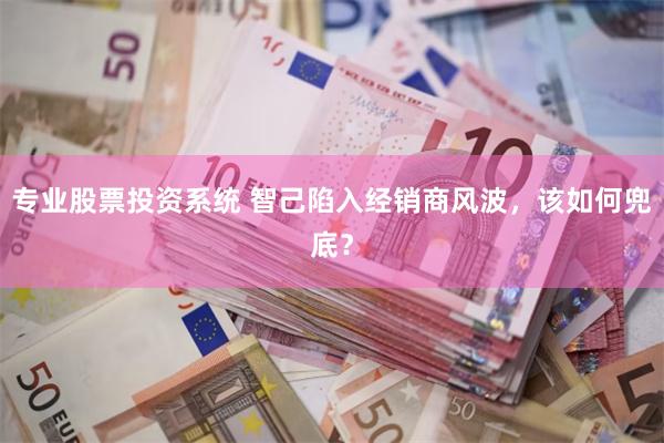 专业股票投资系统 智己陷入经销商风波，该如何兜底？