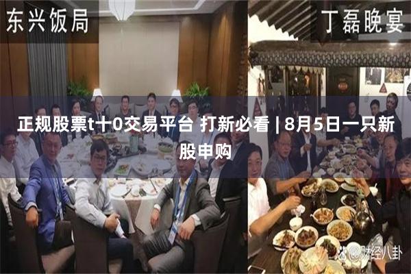 正规股票t十0交易平台 打新必看 | 8月5日一只新股申购