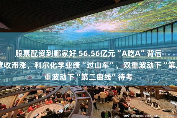 股票配资到哪家好 56.56亿元“A吃A”背后：华润双鹤营收滞涨，利尔化学业绩“过山车”，双重波动下“第二曲线”待考