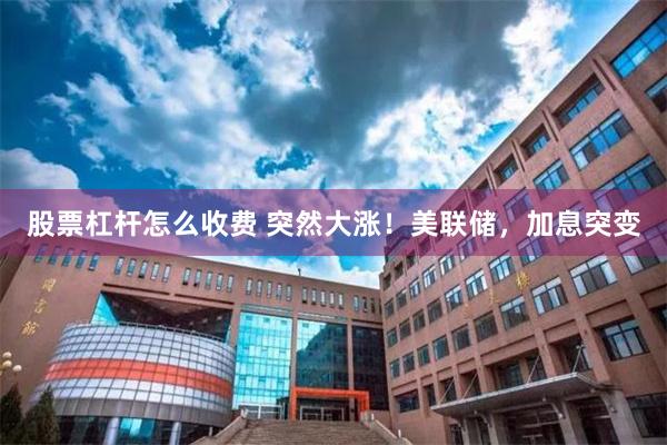 股票杠杆怎么收费 突然大涨！美联储，加息突变
