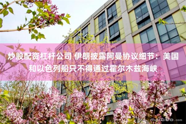 炒股配资杠杆公司 伊朗披露阿曼协议细节：美国和以色列船只不得通过霍尔木兹海峡