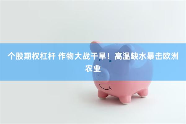 个股期权杠杆 作物大战干旱！高温缺水暴击欧洲农业