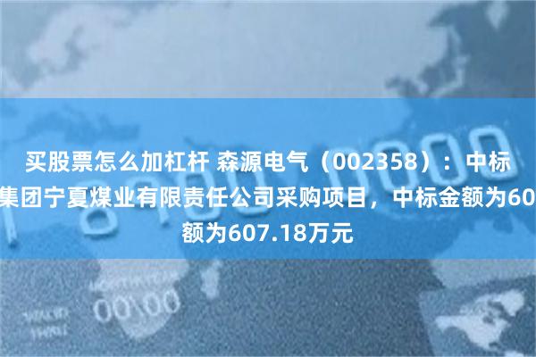买股票怎么加杠杆 森源电气（002358）：中标国家能源集团宁夏煤业有限责任公司采购项目，中标金额为607.18万元