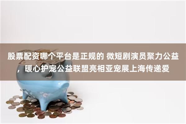 股票配资哪个平台是正规的 微短剧演员聚力公益，暖心护宠公益联盟亮相亚宠展上海传递爱
