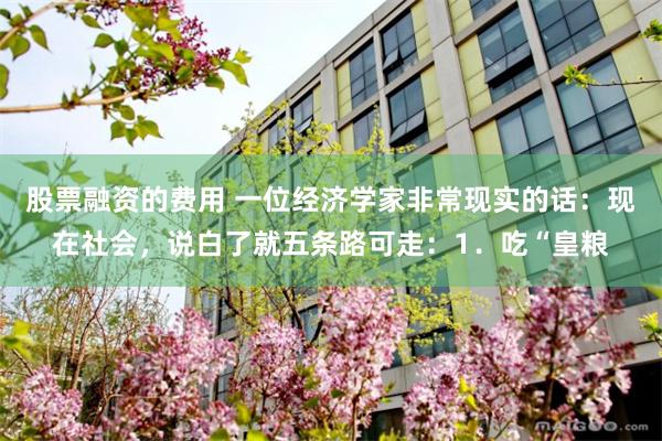 股票融资的费用 一位经济学家非常现实的话：现在社会，说白了就五条路可走：1．吃“皇粮
