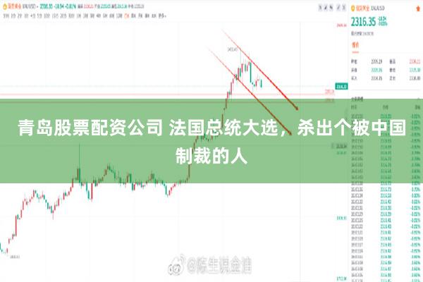 青岛股票配资公司 法国总统大选，杀出个被中国制裁的人