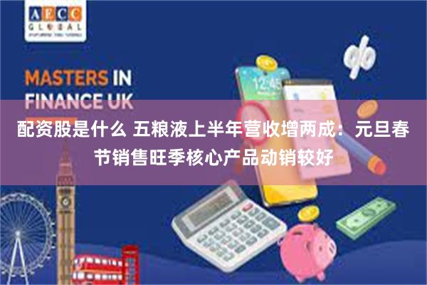 配资股是什么 五粮液上半年营收增两成：元旦春节销售旺季核心产品动销较好